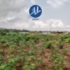 Vente de terrain de 725 m² avec ACDI à Bingerville