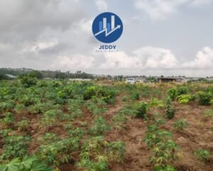 Vente de terrain de 725 m² avec ACDI à Bingerville