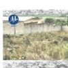 Vente terrain nu de 1.115m² avec ACD à Bingerville Marie Thérèse