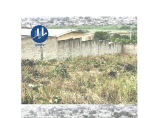 Vente terrain nu de 1.115m² avec ACD à Bingerville Marie Thérèse