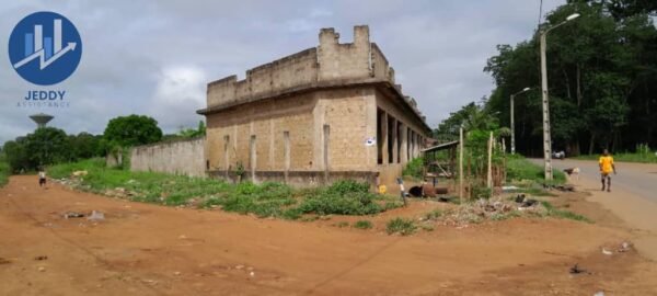 Vente d'un batiment de 8 magasins 721 m² à Grand-Lahou